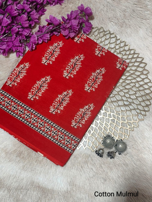 Screen Print Bagru Saree